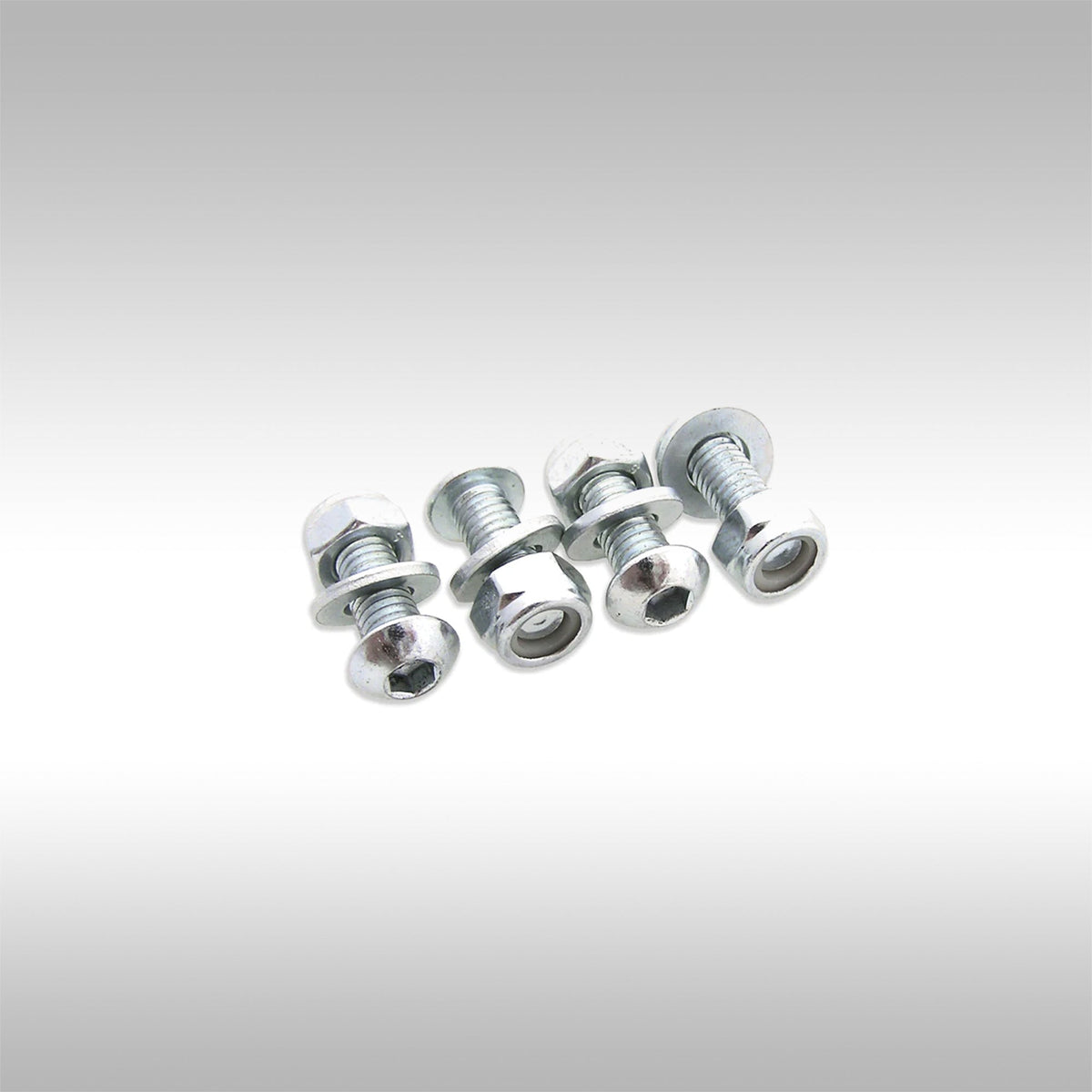 LICENSE PLATE NUT AND BOLT SET